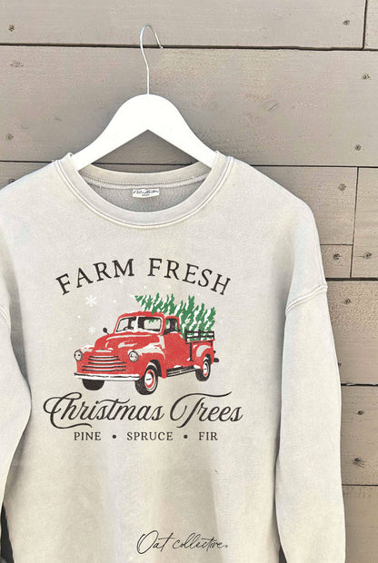 FARM FRESH CHRISTMAS  Mineral Graphic Sweatshirt: WHITE DOVE / L