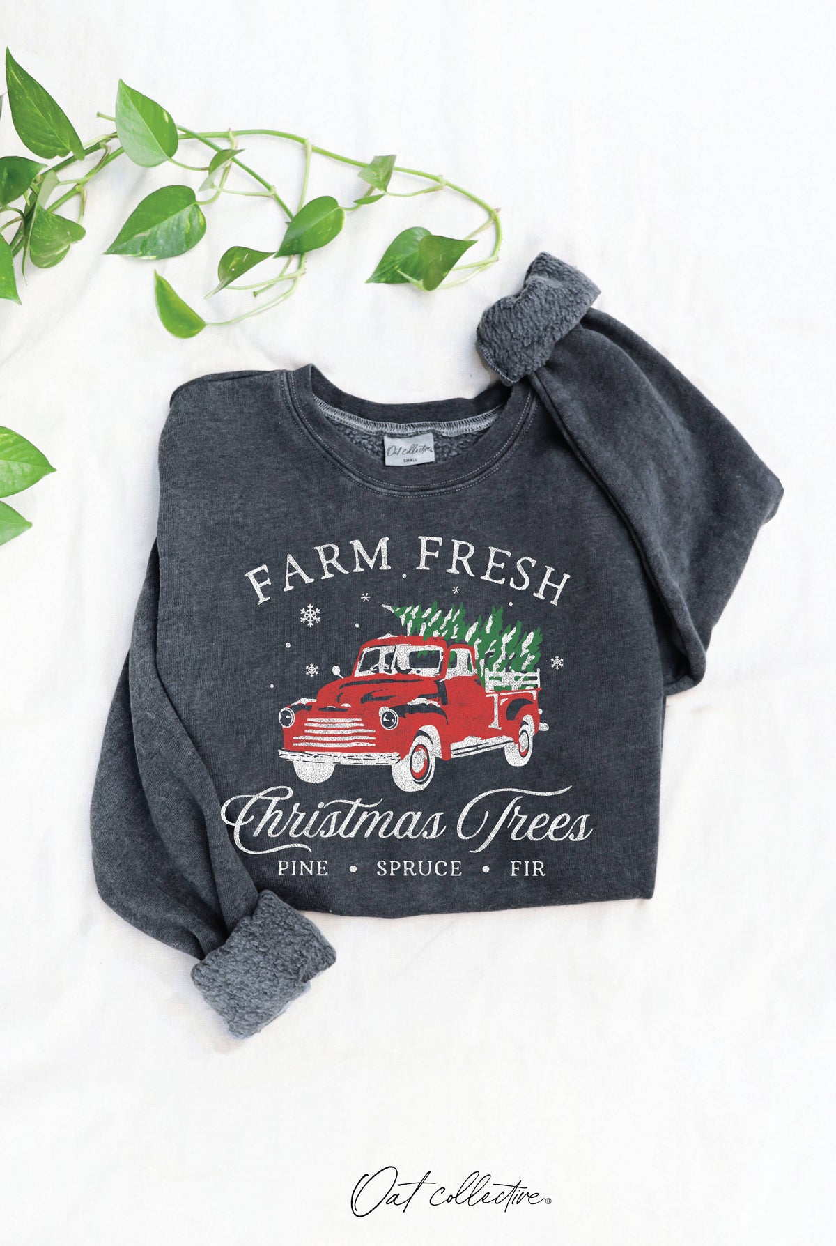 FARM FRESH CHRISTMAS  Mineral Graphic Sweatshirt: WHITE DOVE / L