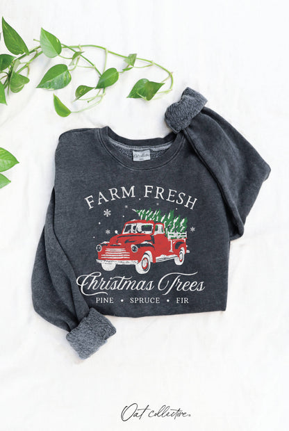 FARM FRESH CHRISTMAS  Mineral Graphic Sweatshirt: WHITE DOVE / L