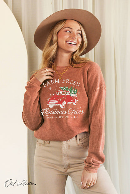 FARM FRESH CHRISTMAS  Mineral Graphic Sweatshirt: WHITE DOVE / L