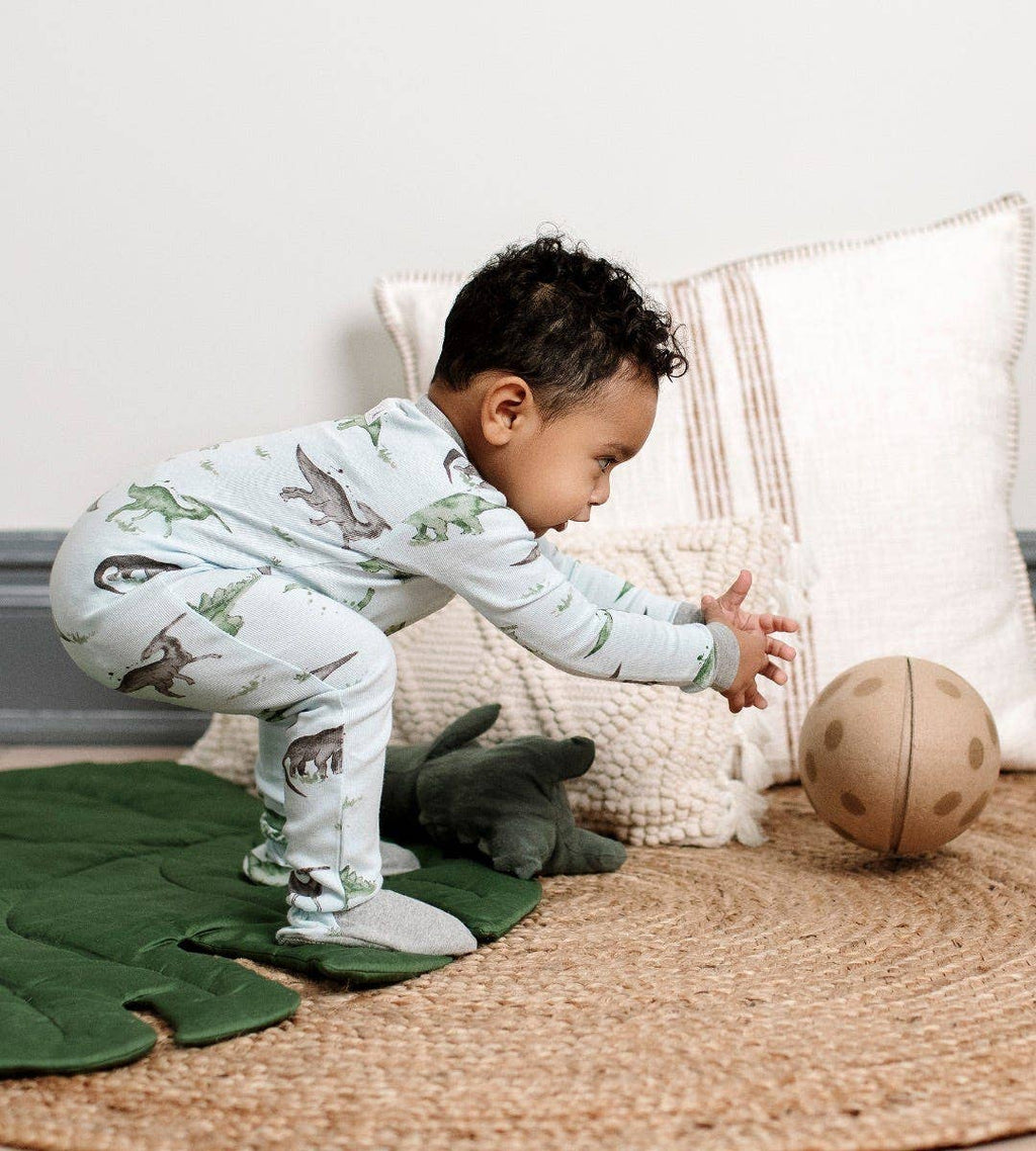 Happy Dinosaurs Organic Cotton Pajamas