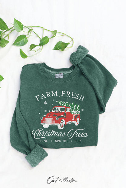 FARM FRESH CHRISTMAS  Mineral Graphic Sweatshirt: WHITE DOVE / L